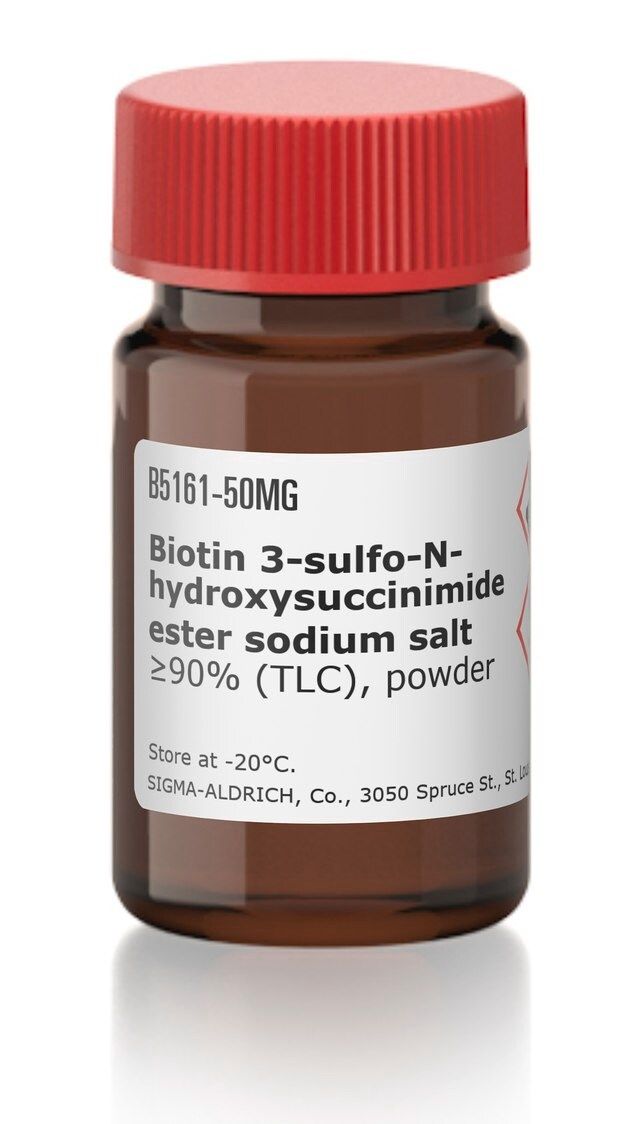 Biotin 3-sulfo-N-hydroxysuccinimide ester sodium salt