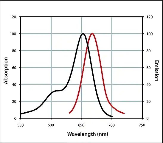 Anti-Rabbit IgG (H+L), highly cross-adsorbed, CF<sup>TM</sup> 647 antibody produced in donkey