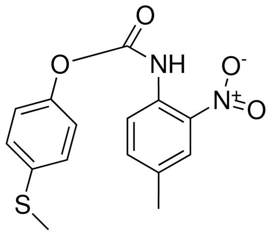 4-(METHYLTHIO)PHENYL N-(4-METHYL-2-NITROPHENYL)CARBAMATE