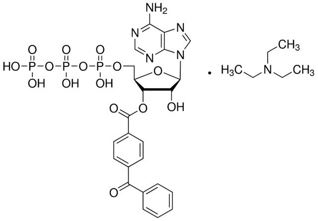2′(3′)-O-(4-Benzoylbenzoyl)adenosine 5′-triphosphate triethylammonium salt