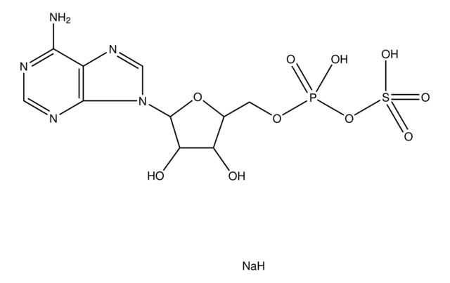 Adenosine 5′-phosphosulfate sodium salt