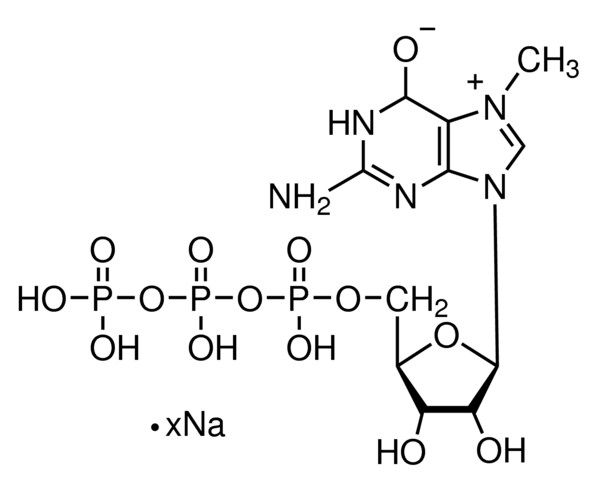 7-Methylguanosine 5′-triphosphate sodium salt