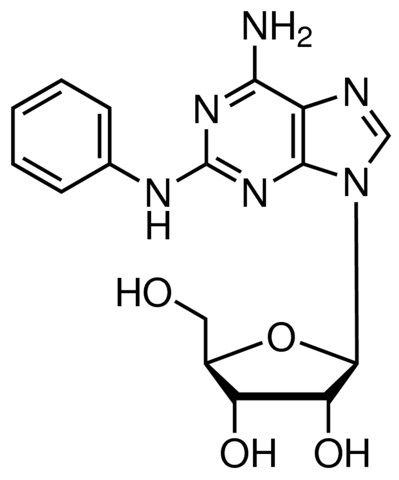 2-Phenylaminoadenosine