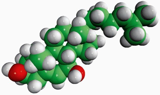 7β-Hydroxycholesterol