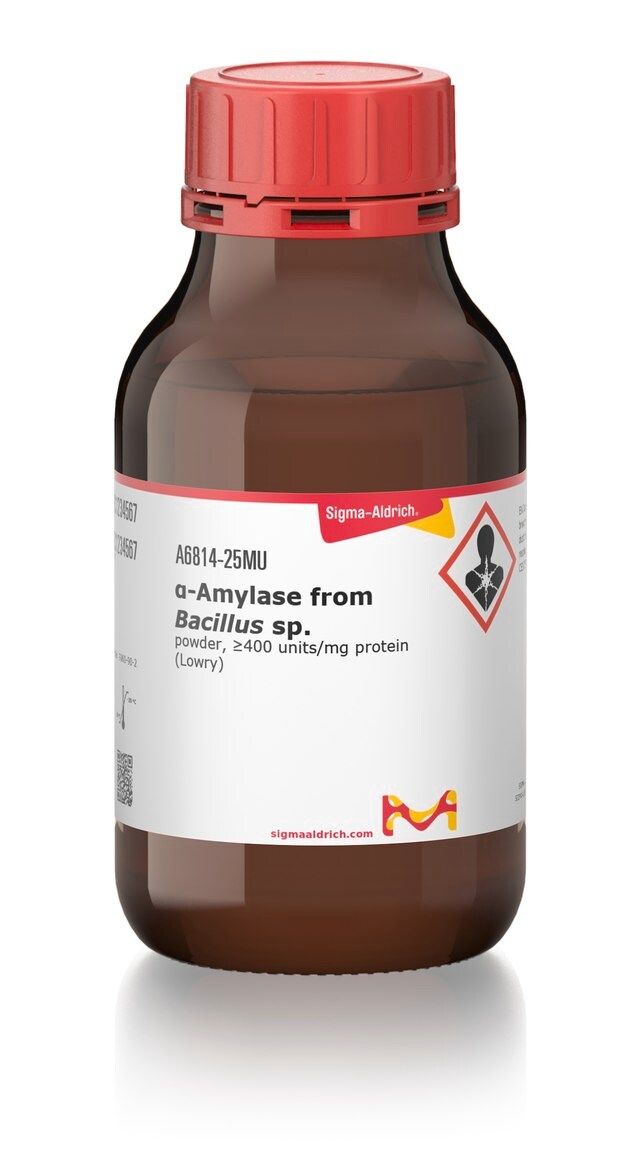 α-Amylase from <i>Bacillus</i> sp.