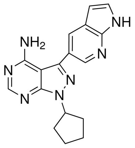 PP121