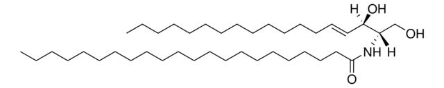 C22 Ceramide (d18:1/22:0)