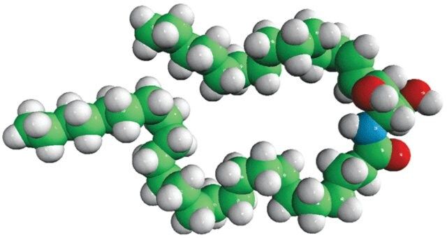 C24 Ceramide (d17:1/24:0)