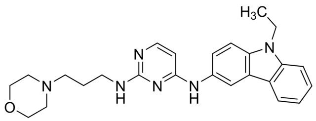 EHop-016