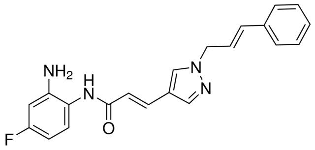 RGFP966