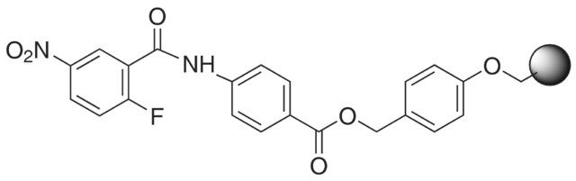 4-(2-Fluoro-5-nitro-benzoylamino)benzoate on Wang resin