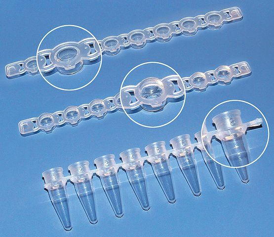 BRAND<sup>®</sup> PCR tubes and caps, strips of 8