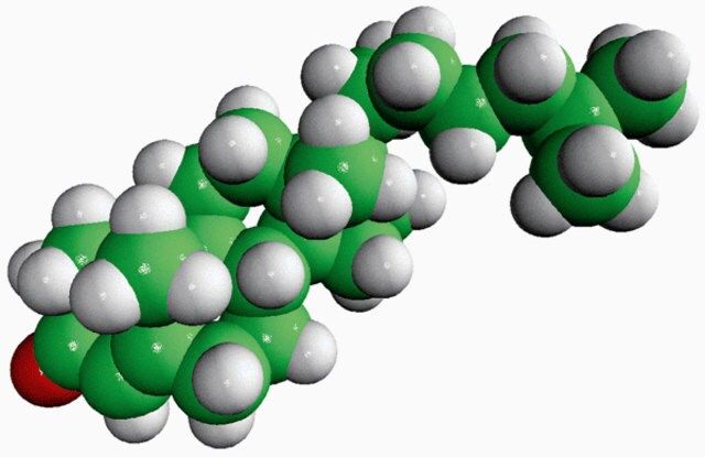 cholestenone