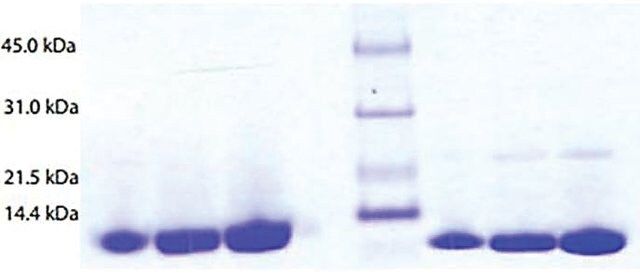 Lactalbumin from human milk