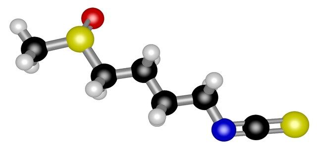<sc>L</sc>-Sulforaphane