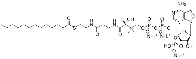 13:0 Coenzyme A