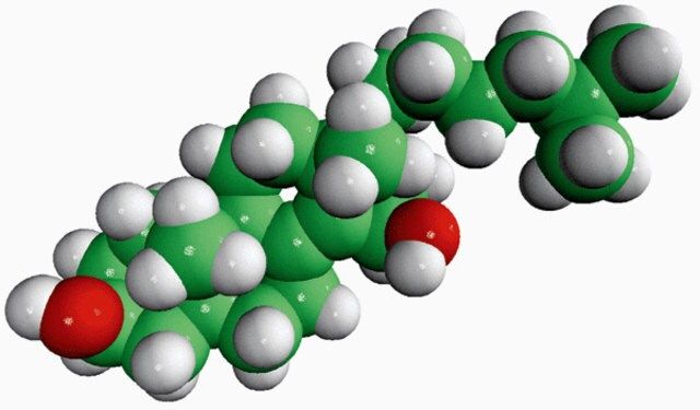 15β-hydroxycholestene