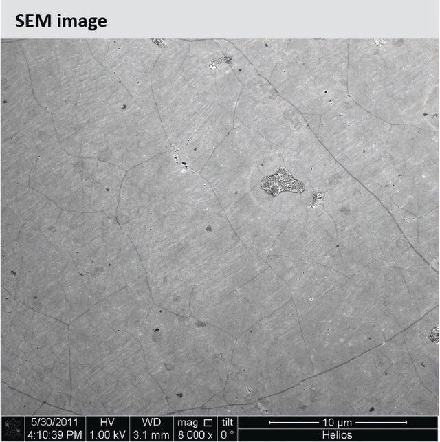 Monolayer graphene film