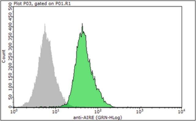Anti-AIRE Antibody, clone 5H12