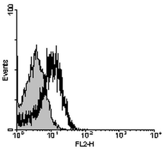 Anti-CD39 Antibody, clone 5F2