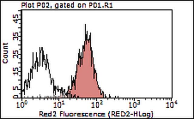 Anti-OX40L (CD252) Antibody, clone RM134L