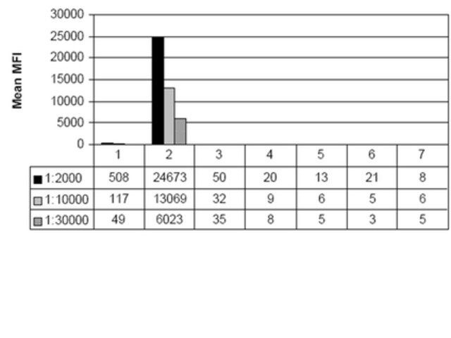 Anti-monomethyl-Histone H4 (Lys20) Antibody, clone NL314, rabbit monoclonal