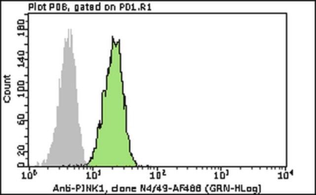 Milli-Mark<sup>®</sup> Anti-PINK1-Alexa Fluor 488 Antibody, clone N4/49