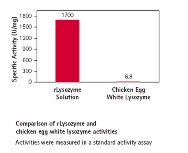 rLysozyme Solution