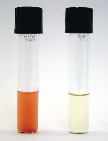 Ferrioxamine E from <i>Streptomyces antibioticus</i>