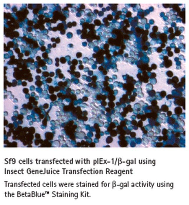 Insect GeneJuice<sup>®</sup> Transfection Reagent