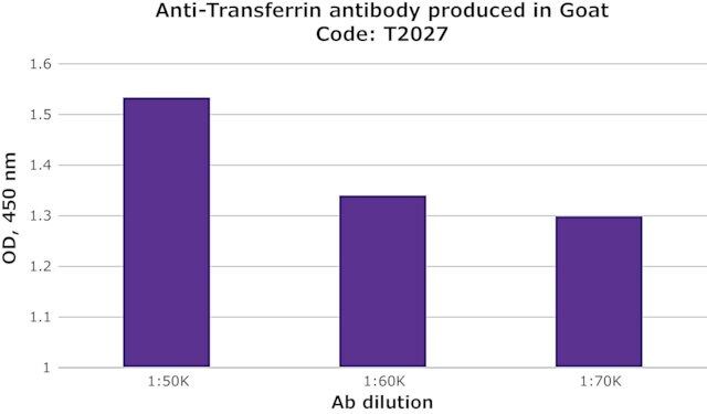 Anti-Transferrin antibody produced in goat