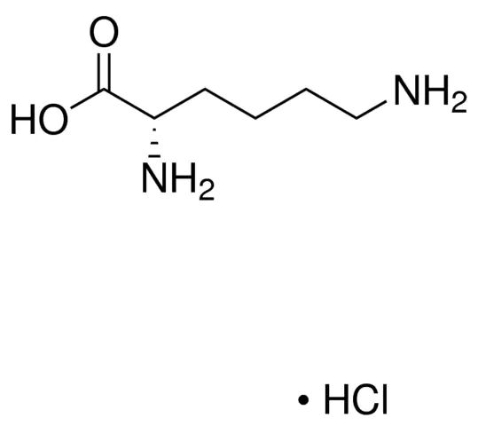 <sc>L</sc>-Lysine hydrochloride solution