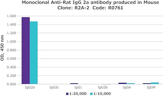 Monoclonal Anti-Rat IgG2a antibody produced in mouse