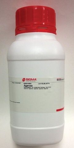 Agarose