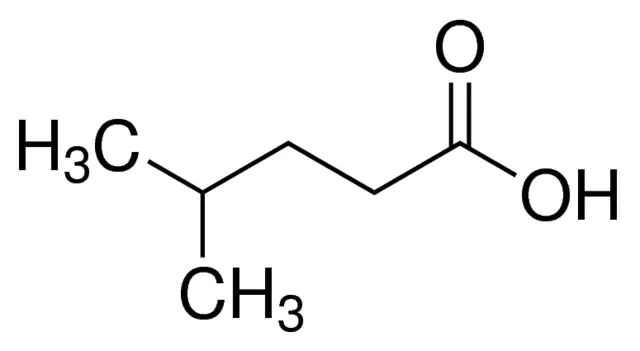 4-Methylvaleric Acid