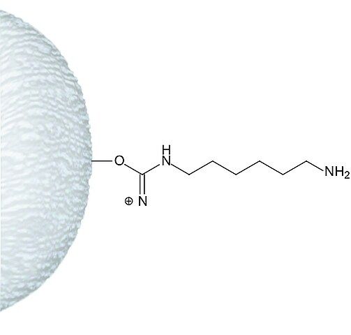 ω-Aminohexyl–Agarose