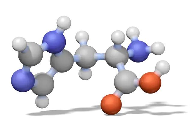NADP, Monosodium Salt-CAS 1184-16-3-Calbiochem