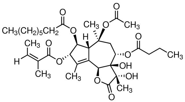Thapsigargin