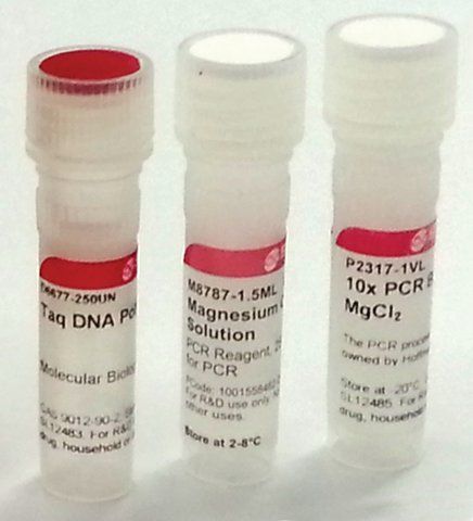 Taq DNA Polymerase from <i>Thermus aquaticus</i>