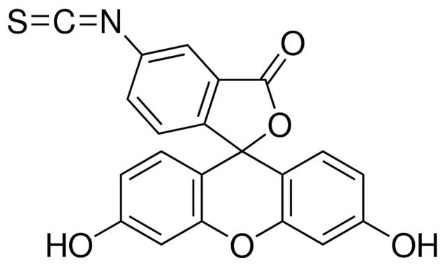 Fluorescein isothiocyanate isomer I–Celite<sup>®</sup>