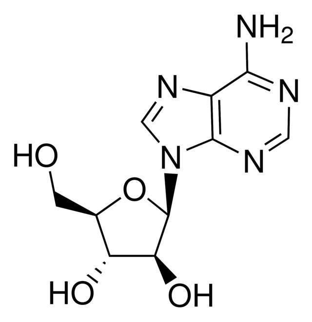 Adenine 9--<sc>D</sc>-arabinofuranoside