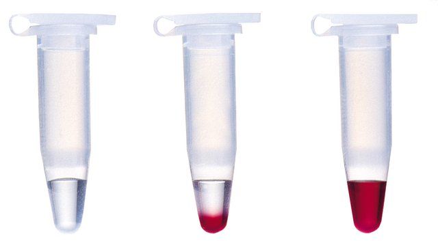 REDTaq<sup>®</sup> Genomic DNA Polymerase