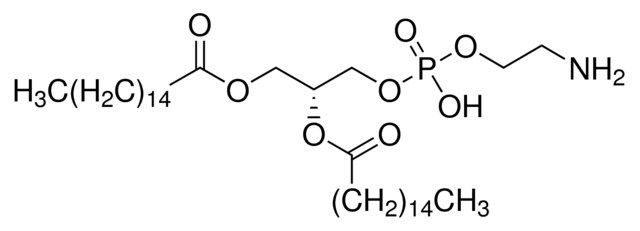 1,2-Dipalmitoyl-<i>sn</i>-glycero-3-phosphoethanolamine