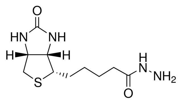 (+)-Biotin hydrazide