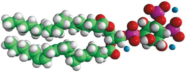 Brain PI(4,5)P2