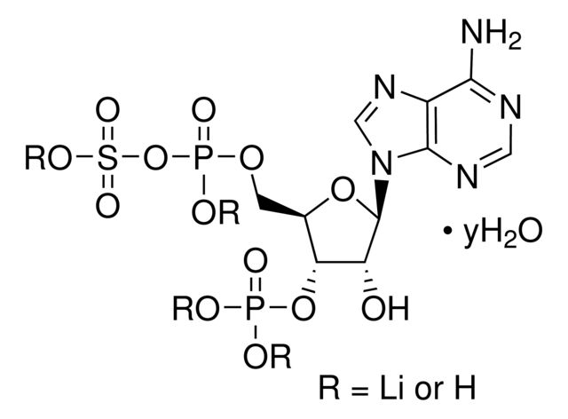 Adenosine 3′-phosphate 5′-phosphosulfate lithium salt hydrate