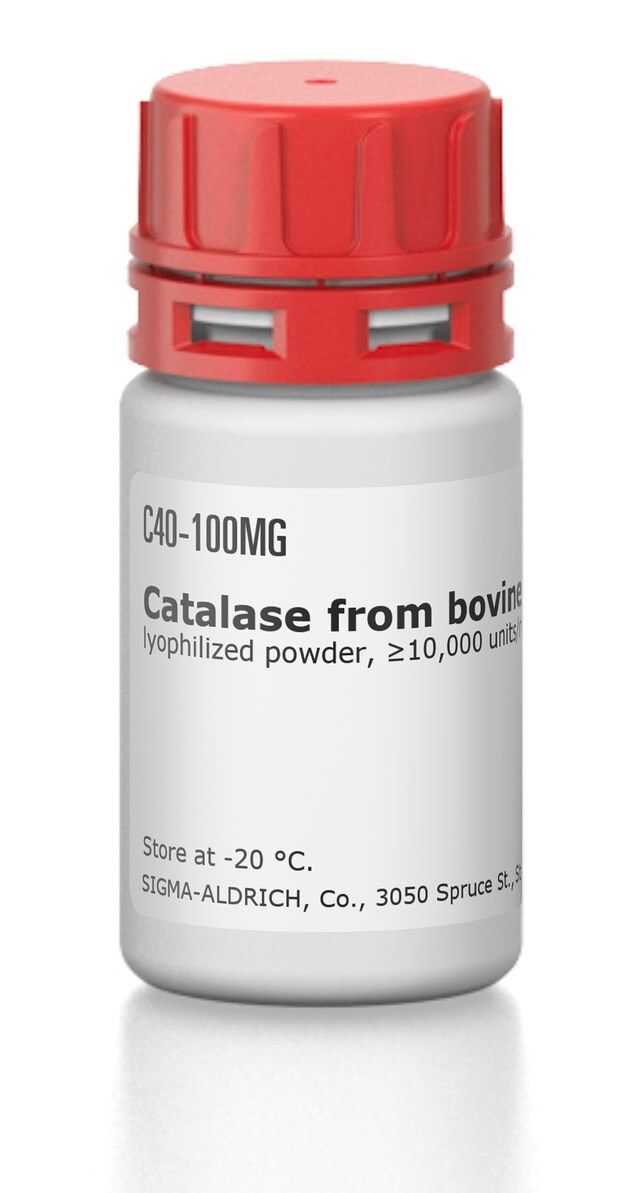 Catalase from Bovine Liver