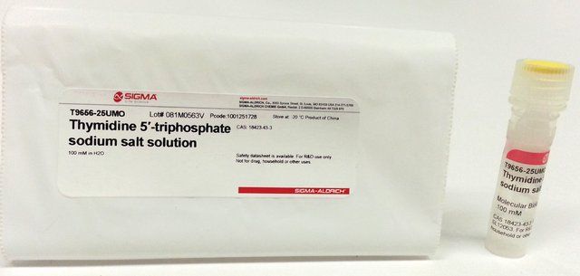 Thymidine 5′-triphosphate sodium salt solution