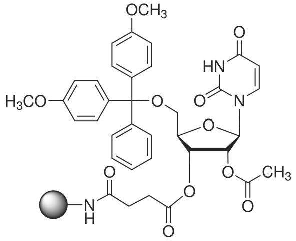 DMT-rU-CPG