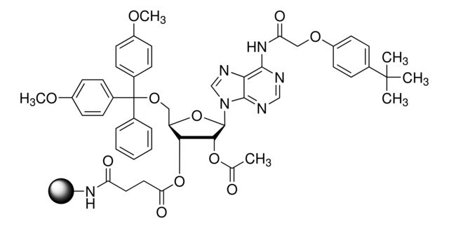 DMT-rA(tac)-CPG